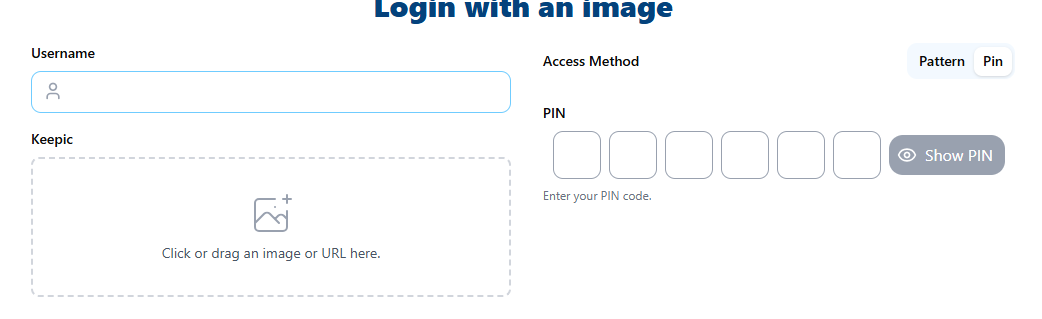 Login Fields pin