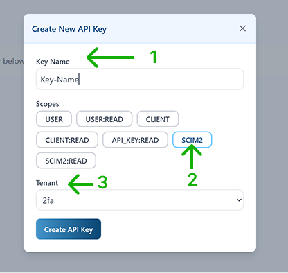 API Key scope and tenant selection